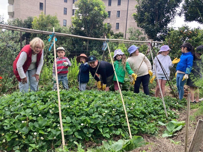 Intergenerational Social Gardening