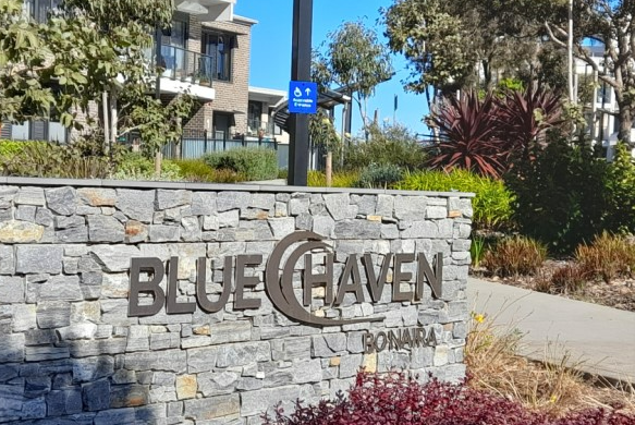 Blue Haven request for tender commences